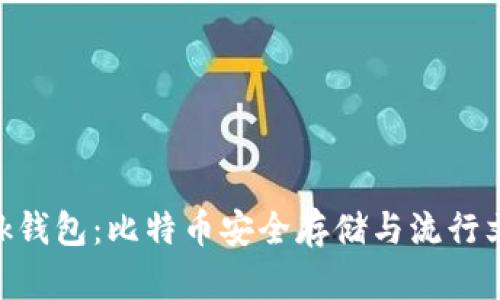 深入解析Sblock钱包：比特币安全存储与流行文化的完美结合