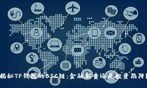 揭秘TP钱包的BSC链：金融新贵还是投资陷阱？