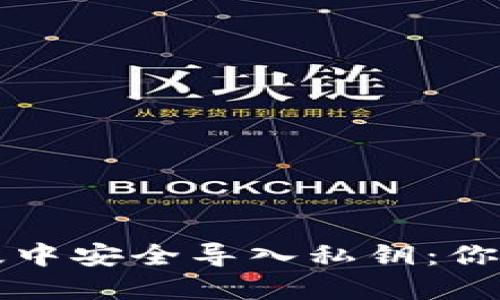 如何在TP钱包电脑版中安全导入私钥：你的数字资产守护秘籍