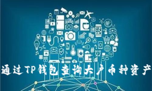 如何通过TP钱包查询大户币种资产详解