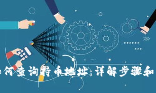 TP钱包如何查询持币地址：详解步骤和注意事项