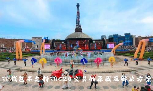 TP钱包不支持TRC20交易的原因及解决方案