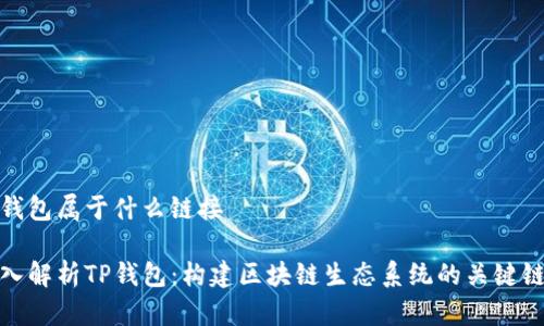 tp钱包属于什么链接

深入解析TP钱包：构建区块链生态系统的关键链接